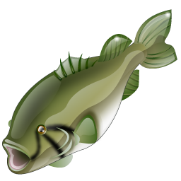 bass_fish icon