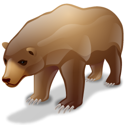 bear icon