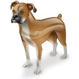 boxer_dog icon