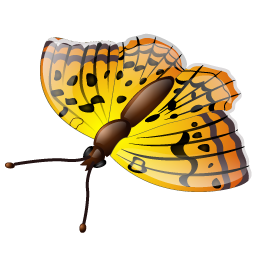 butterfly icon