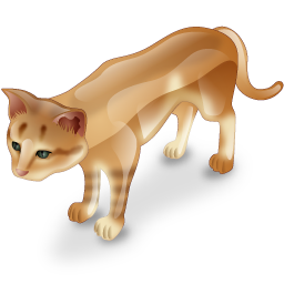 cat icon