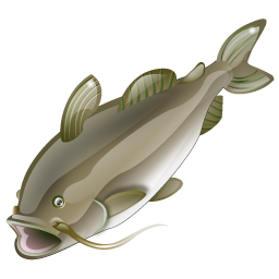 catfish icon
