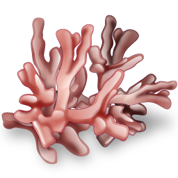 coral icon