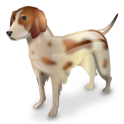dog icon