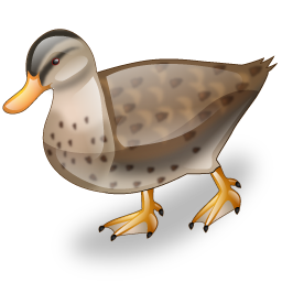 duck icon