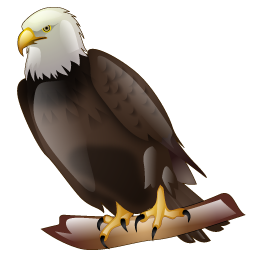 eagle icon