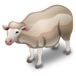 ewe icon