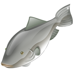 fish icon