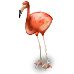 flamingo icon