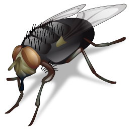 fly icon