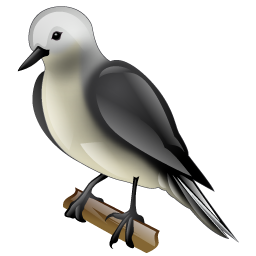 flycatcher_bird icon