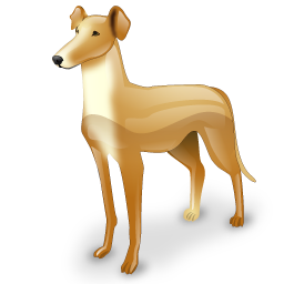 greyhound icon