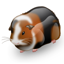 guinea_pig icon