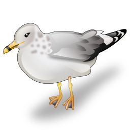 gull icon