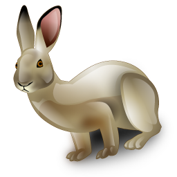 hare icon