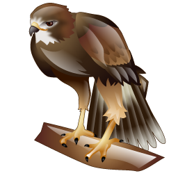 hawk icon