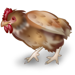 hen icon