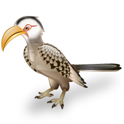hornbill_bird icon