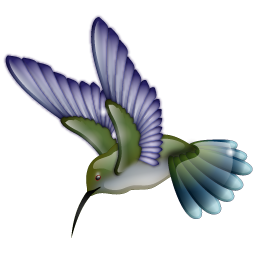 hummingbird icon