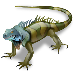 iguana icon