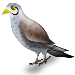miner_bird icon