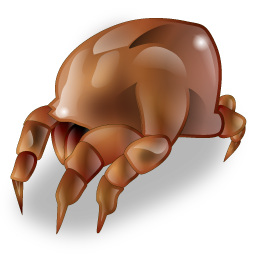 mite icon