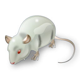 mouse icon