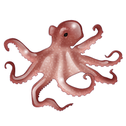 octopus icon