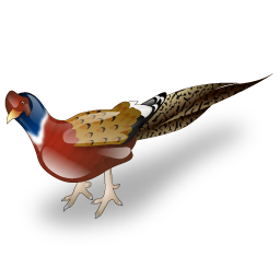 pheasant icon