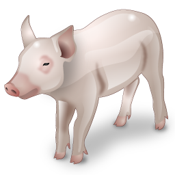 pig icon