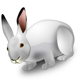 rabbit icon