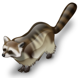 raccoon icon