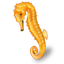 seahorse icon