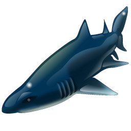 shark icon