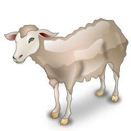 sheep icon
