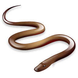 snake icon