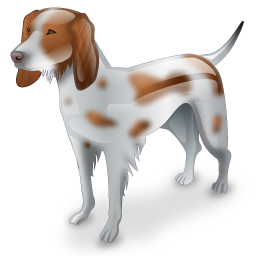 spaniel_dog icon