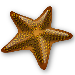 starfish icon