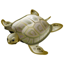 turtle icon