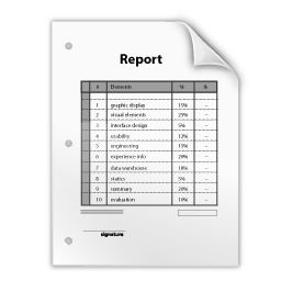 report icon