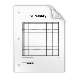 summary icon