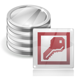 access icon