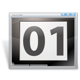 binary_field icon