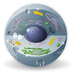 biology icon