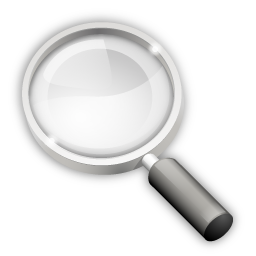zoom icon