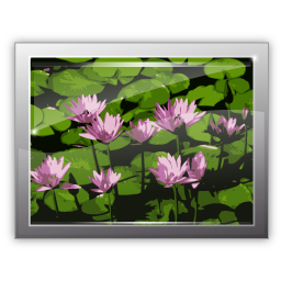 raster icon