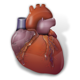 cardiology icon