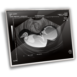 obstetrics icon