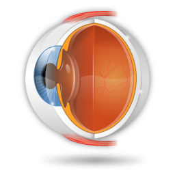 ophthalmology icon