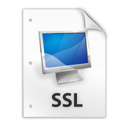 ssl icon